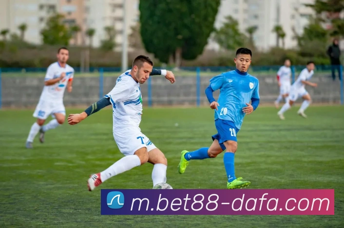 大发官网平台生态图