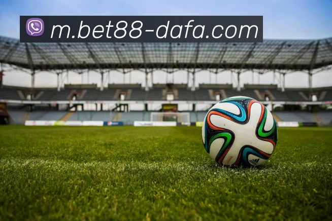 大发官网APP 封面图